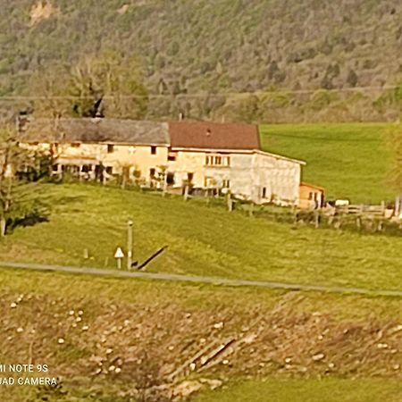 La Chambre Savoyarde Chez Les Garcons Saint-Paul-sur-Yenne Exterior foto